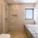 Luxurious Home In Razanj